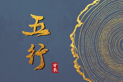 天机命盘_易百查紫微排盘_胎元命宫八字排盘_算命紫微排盘_查询十二宫位