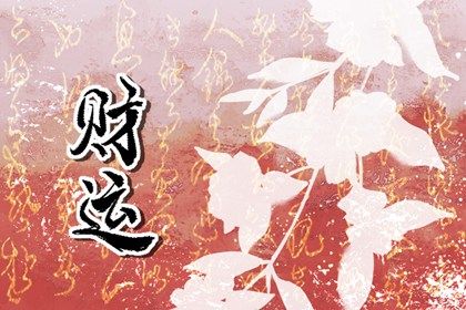 流年运势：动态视角